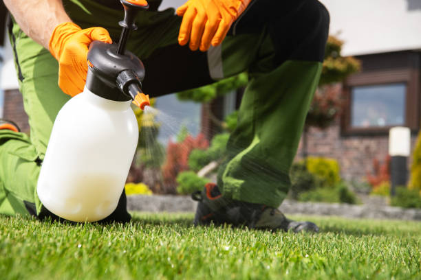 Best Affordable Pest Control Services  in Woodcliff Lake, NJ