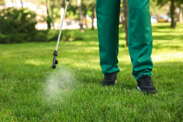 Reliable Woodcliff Lake, NJ Pest Control Solutions