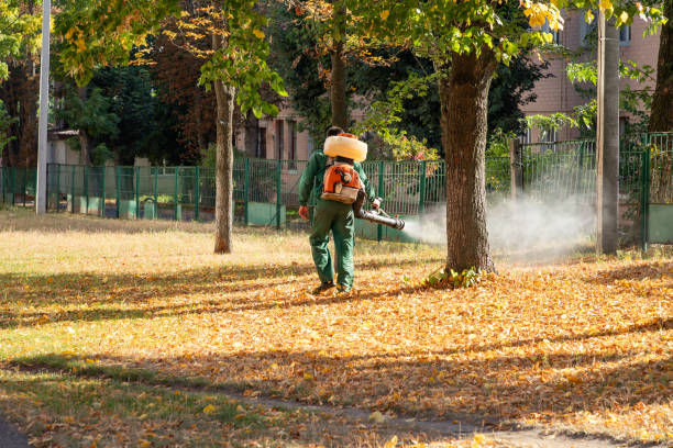 Best Pest Removal Services  in Woodcliff Lake, NJ
