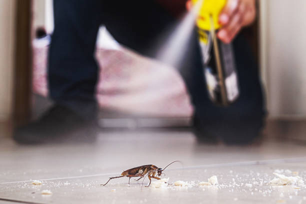Best Commercial Pest Control Services  in Woodcliff Lake, NJ